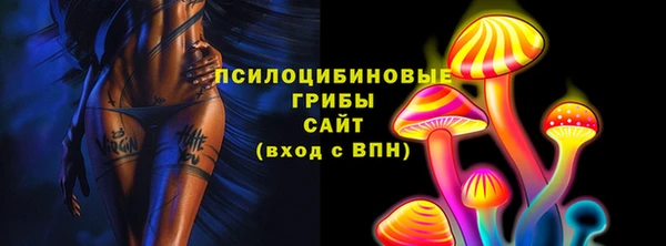 мдма Гусев