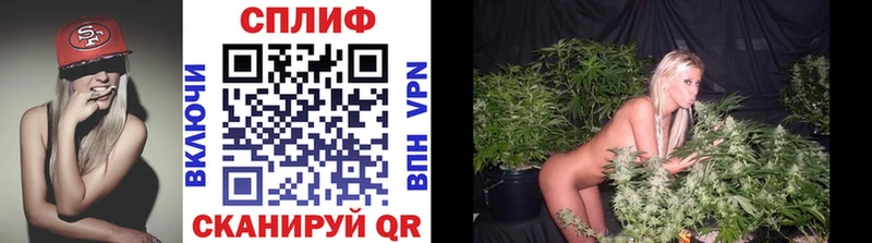 kraken   Черепаново  Канабис индика 